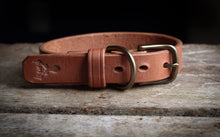 Load image into Gallery viewer, Dog Collar Antique Brass hardware