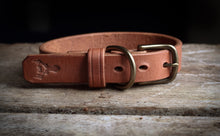 Load image into Gallery viewer, Dog Collar Antique Brass hardware