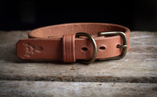Load image into Gallery viewer, Dog Collar Antique Brass hardware
